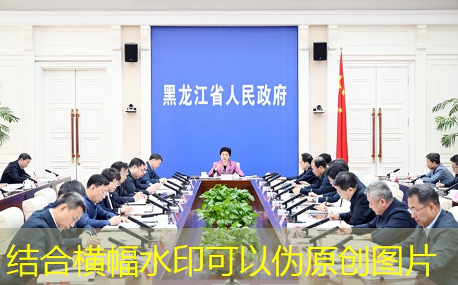 Liang Huiling presidió una reunión plenaria del Comité de Seguridad Alimentaria del Gobierno Provincial de 2024