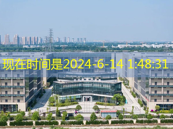 Chengdu Wenjiang Future Food Industrial Park construyó una cadena fuerte para promover la industria de alimentos verdes.